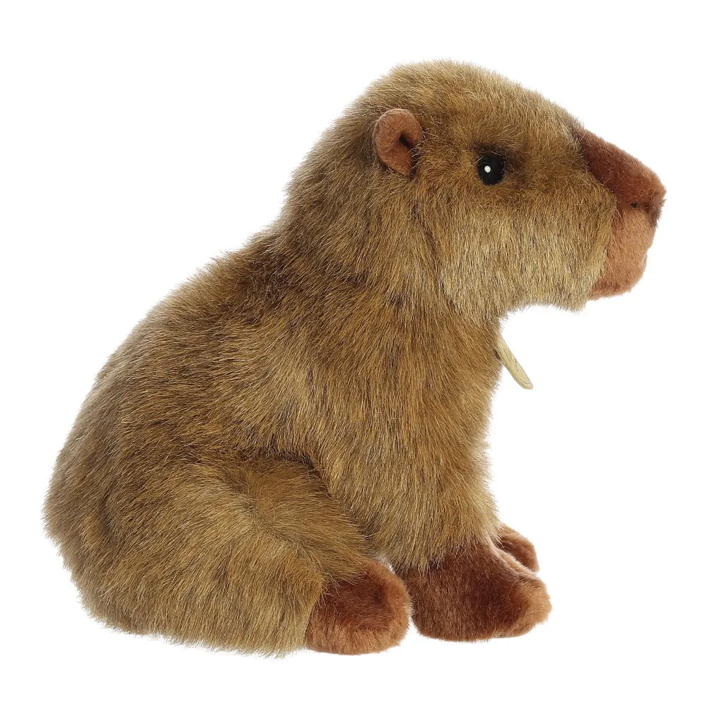 MiYoni Capybara Soft Toy