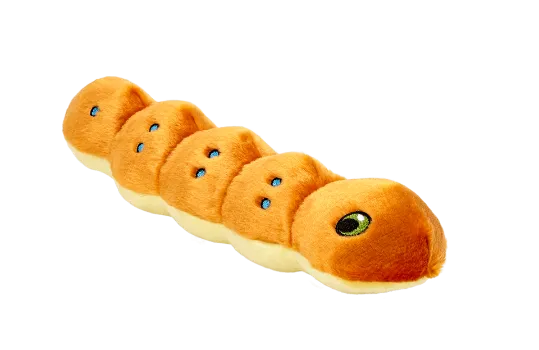 Spicy Caterpillar Toy